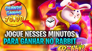 qual melhor horario de jogar fortune rabbit